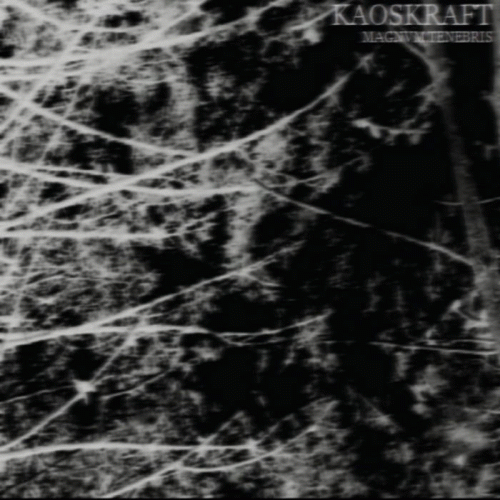 Kaoskraft : Magnvm Tenebris